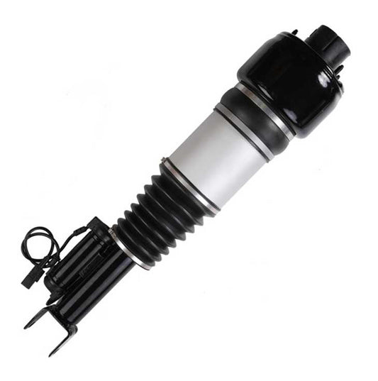 Shock Absorber 2193201213