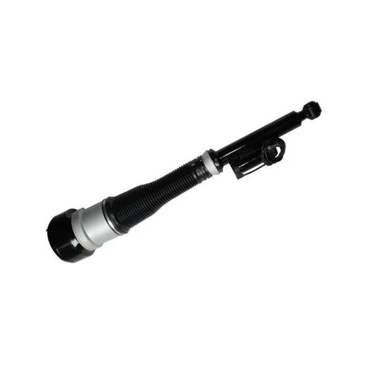 Suspension Strut 2213205613