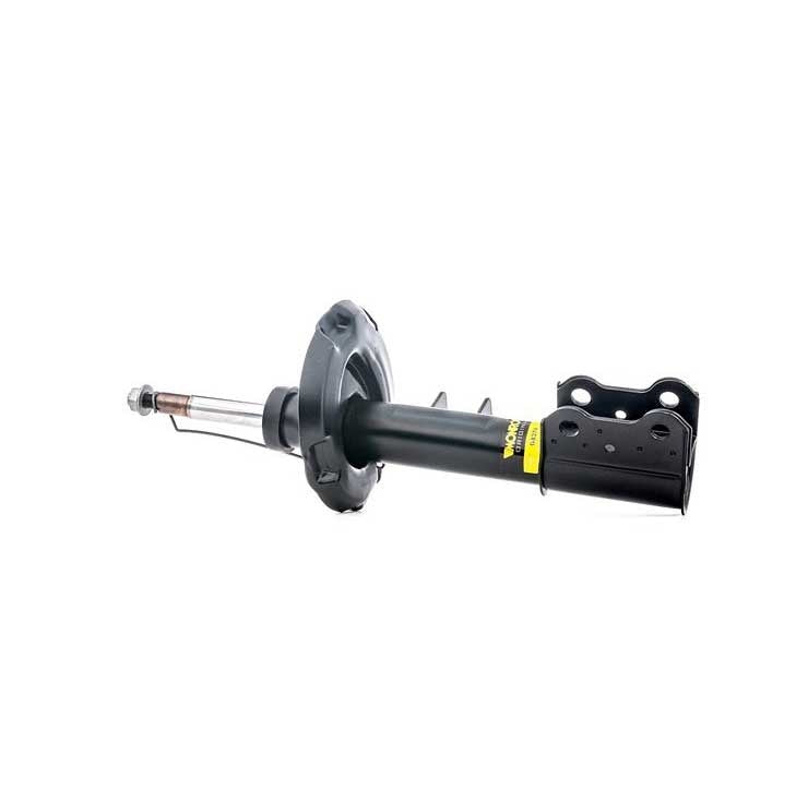 Shock Absorber Strut 2463233600