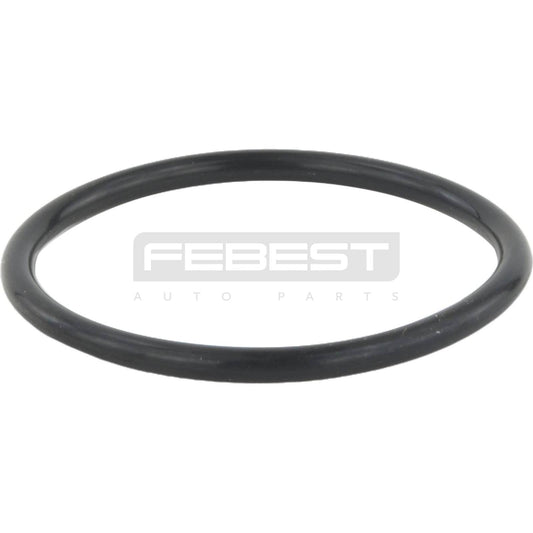 RINGAH-035 | Air Intake Hose Seal